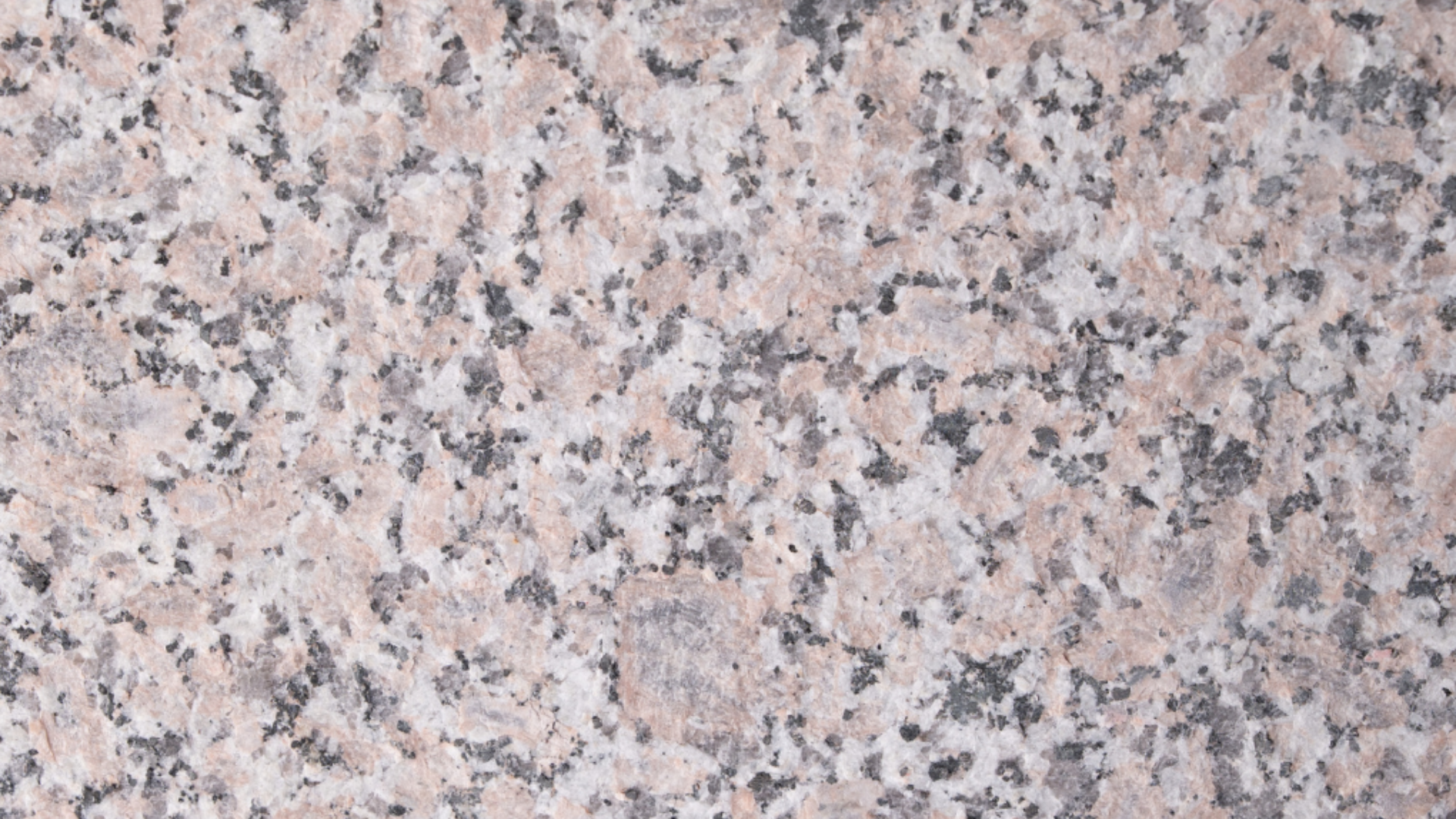 Роза Бета Термолющен