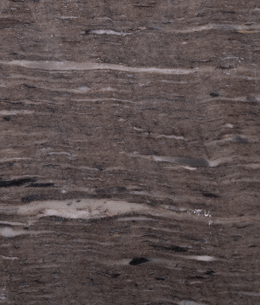 Olive Gray